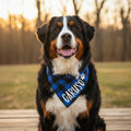 Kariertes Hundehalstuch