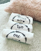 Set 12 Babybodies "Babys erstes Jahr"